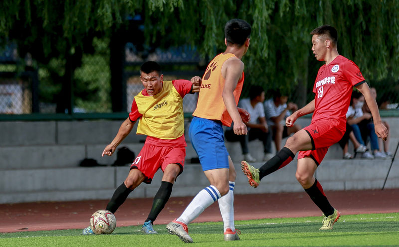 离奇，挪威女足球员药检呈阳性，污染源来自人造草坪的橡胶颗粒